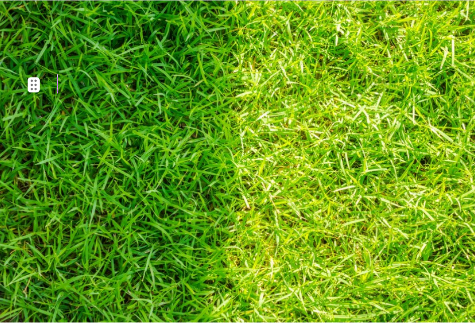 How Long Does Fake Grass Last? | Longevity of Artificial Grass